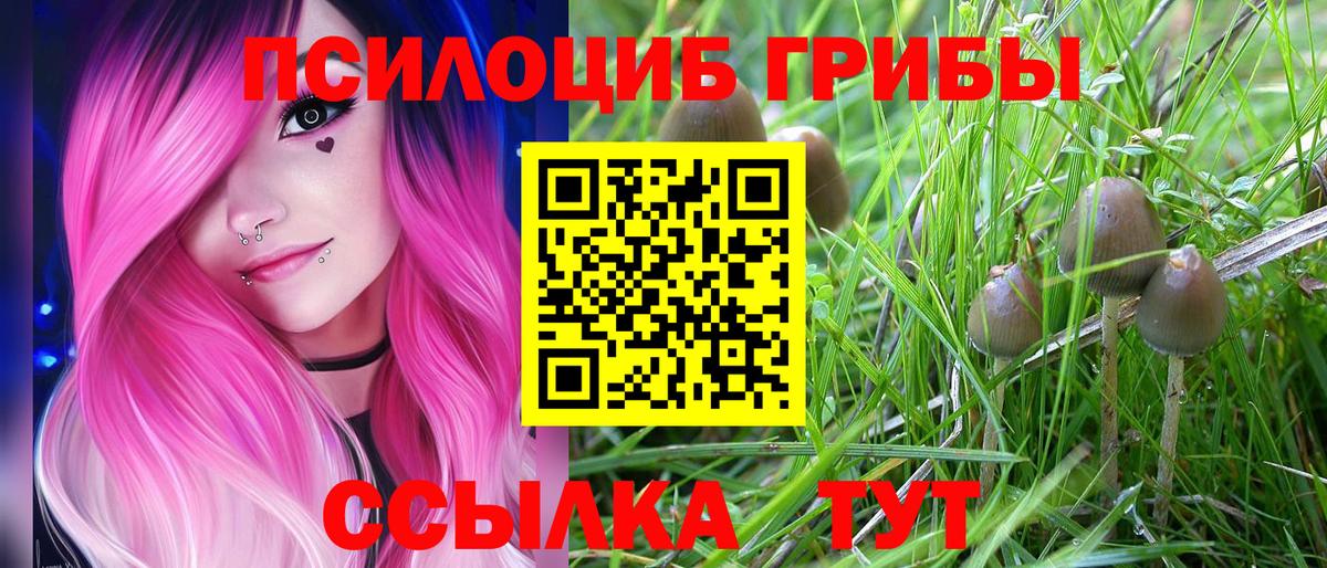 Димитровград  Галлюциногенные грибы мицелий  Вход с VPN 