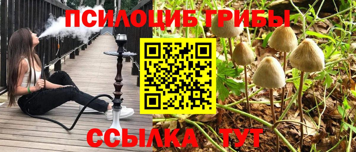 Галлюциногенные грибы Magic Shrooms Димитровград